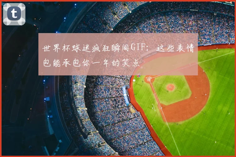 世界杯球迷疯狂瞬间GIF:这些表情包能承包你一年的笑点