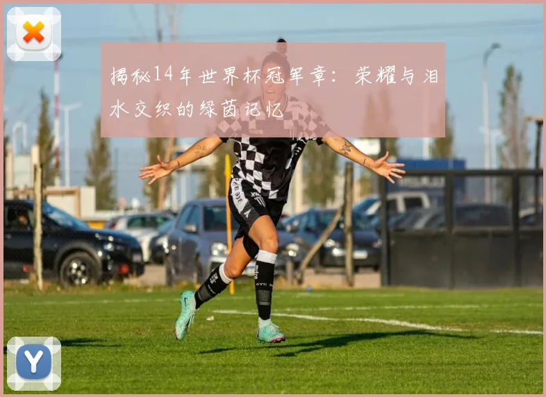 揭秘14年世界杯冠军章:荣耀与泪水交织的绿茵记忆