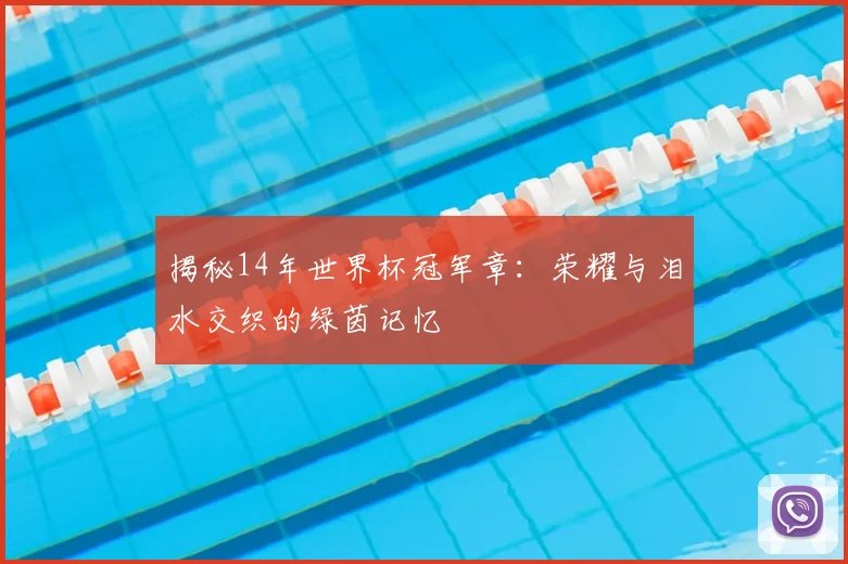 揭秘14年世界杯冠军章：荣耀与泪水交织的绿茵记忆