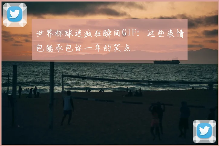 世界杯球迷疯狂瞬间GIF：这些表情包能承包你一年的笑点